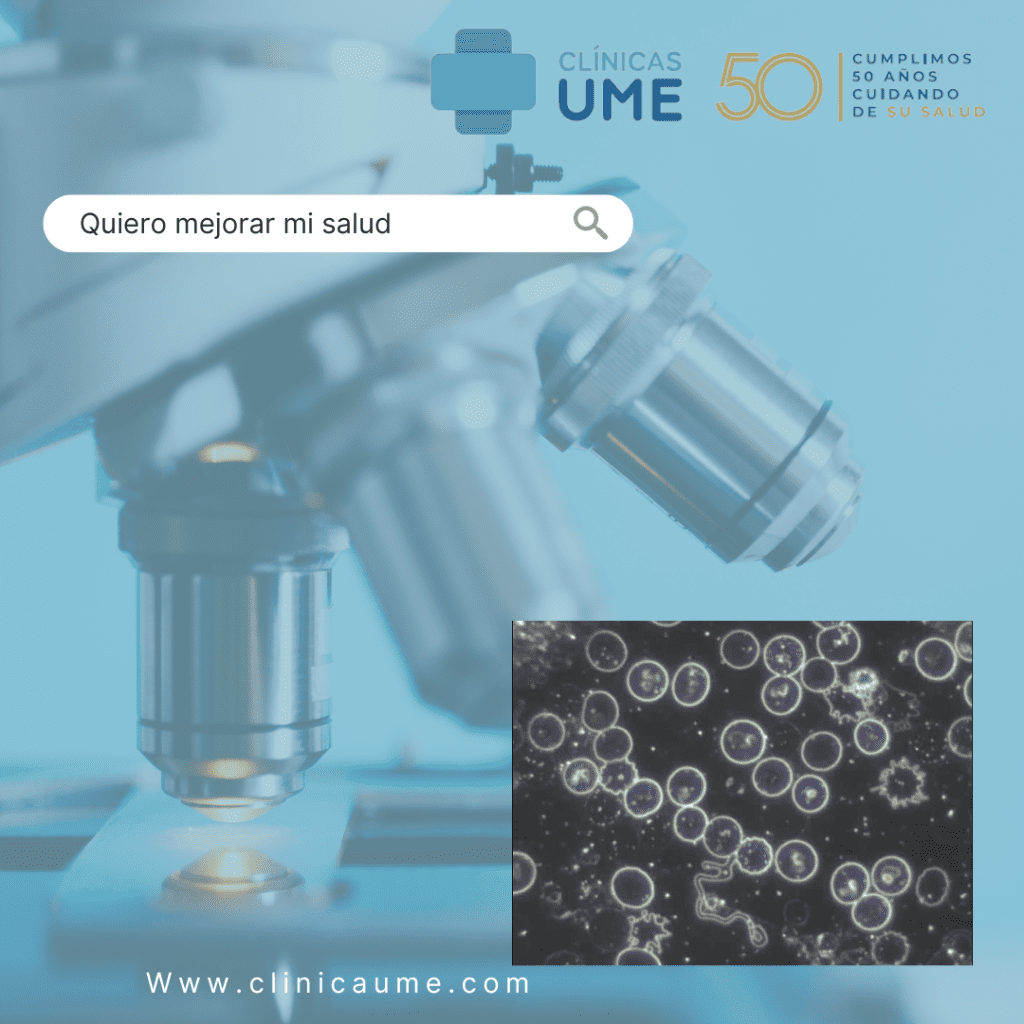 campo oscuro en alicante