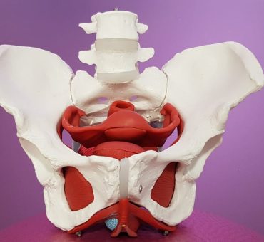 suelo pelvico en alicante