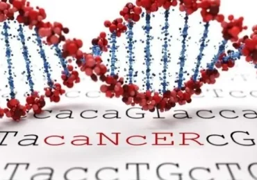 Innovación Oncológica con el Estudio "Metavectum: Tratamiento Personalizado del Cáncer