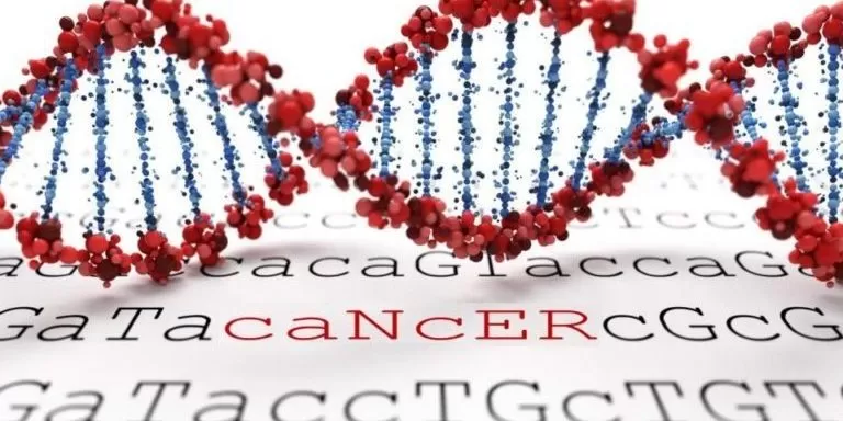 estudio oncologia integrativa